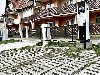 Hortenzia Apartman Balaton