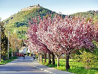 Visegrad Apartman
