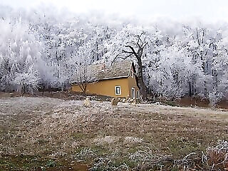 Cottage By The Woods Balatonhenye