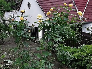 Barbara Apartmanhaz Miskolc