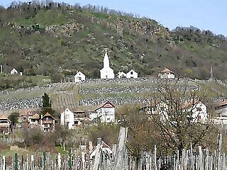 Bagdal Vino Vendeghaz Somlojeno