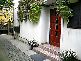 Harsfa Vendeghaz Veszprem