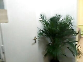 Laura 2 Apartman Nagykanizsa