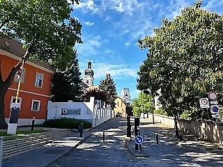 Hotel Domus Collis Gyor