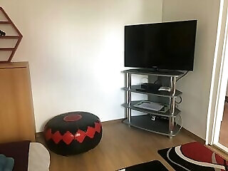 Napraforgo Vendeghaz Veresegyhaz