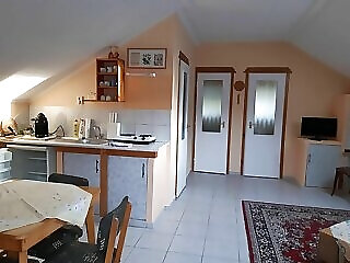 Tuja Vendeghaz Lajoskomarom