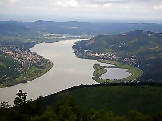 Platan Panzio Dobogoko