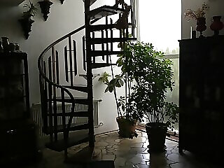 Apartman Donau Tat