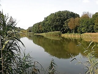 Platan Vendeghaz Szalanta