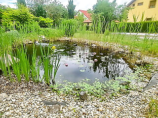 Ditlin Apartmanok**** Papa