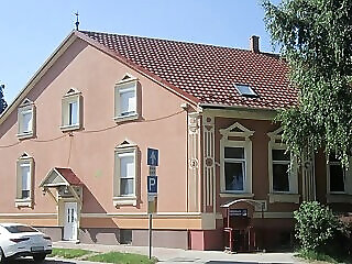 Feher Hajo Panzio Gyor