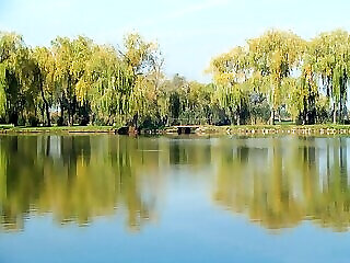 Oreg Tisza Fogado Kotelek