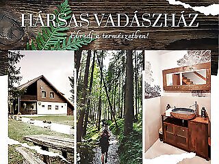 Harsas Vadaszhaz Somogytur