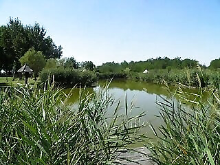 Bodobacs Vendeghaz Tabdi