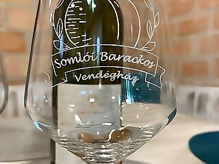 Somloi Barackos Vendeghaz Somlovasarhely