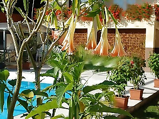 Alfa Hotel Wellness Miskolctapolca