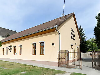 Althaus Vendeghaz Nemetker