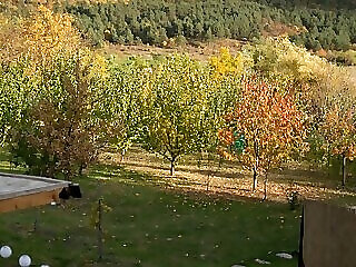 Nekem Ez A Kishaz Boldogkovaralja