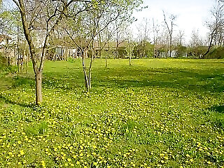 Tornacos Paraszthaz Tiszaszentimre