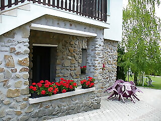 Nemeth Vendeghaz Fertorakos