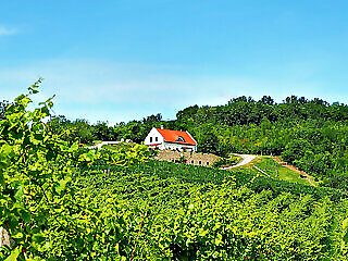 Borbora Borhaz Villa Vaszoly