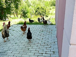 Ket Kapu Udvarhaz Szentlaszlo