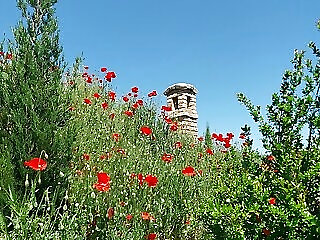 Mediterran Birtok Tevel