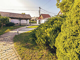 Martoni Villa**** Szigetszentmarton