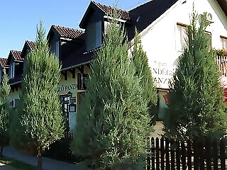 Topart Vendeglo Es Panzio Mezobereny