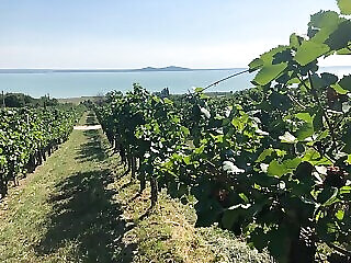 Klara Holiday Apartment Balaton