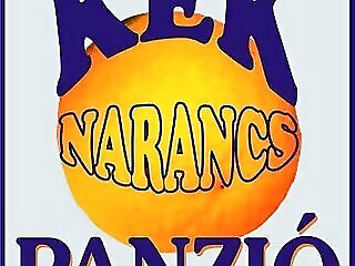 Kek Narancs Panzio Cegled