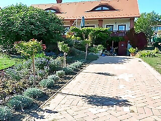Hajnal Vendeghaz Balatonfured