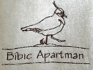 Bibic Apartman C Kapolnasnyek