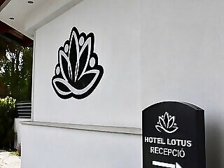 Hotel Lotus Halasztelek