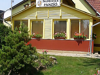 Nefelejcs Panzio Mateszalka