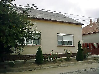 Bodzavirag Vendeghaz Hegyko