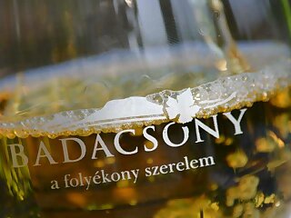 Fazekas Csaladi Apartman Badacsony szállás