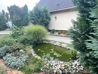 Pipacs Delux Apartman Balatonboglar szállás