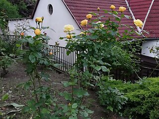 Barbara Apartmanhaz Miskolc szállás