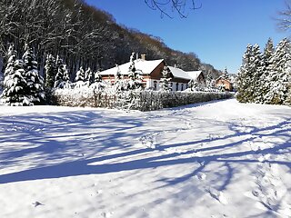 Parva Foresta Apartman Miskolc szállás