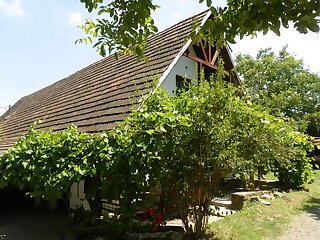 Butella Apartman Nagyborzsony szállás