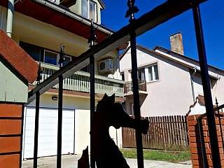 Bermuda Apartman Orfu szállás
