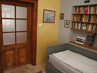 Green Tree Apartman Pecs szállás