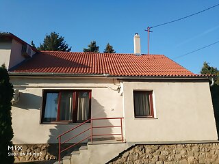Forest Apartman Pecs szállás