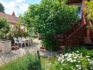 Dencs Apartman Siofok szállás