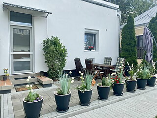 Pihi Lak Apartman Siofok szállás