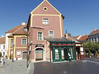 Belvarosi Erdeszlak Apartman Sopron szállás
