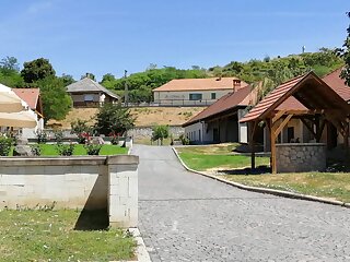 Tarcal Apartman Tarcal szállás
