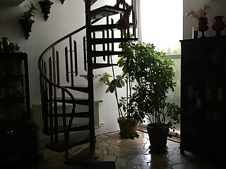 Apartman Donau Tat szállás