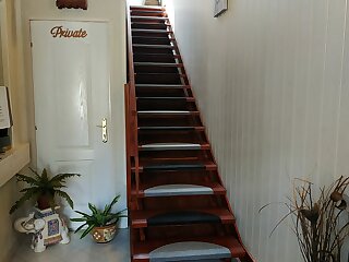Wagner Apartman Tata szállás